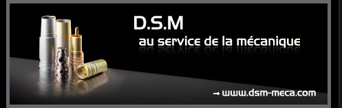 DSM décolletage sous ensemble mécanique